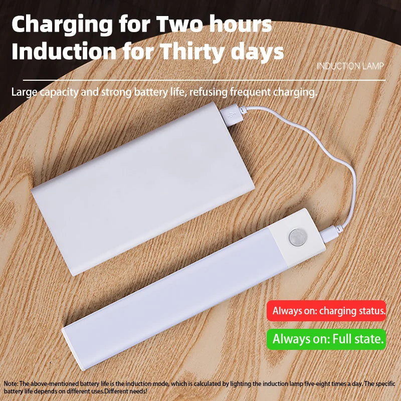 LumaSense Motion Sensor Cabinet Light