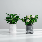 Mini Self Watering Plant Pot 