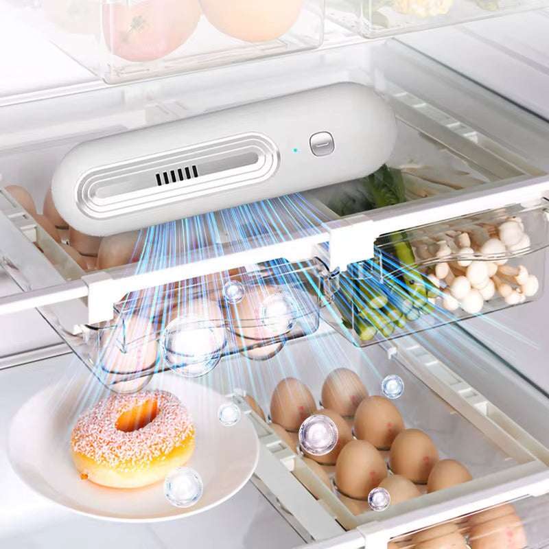 Refrigerator Deodorizer & Air Purifier Extend Food Shelf Life