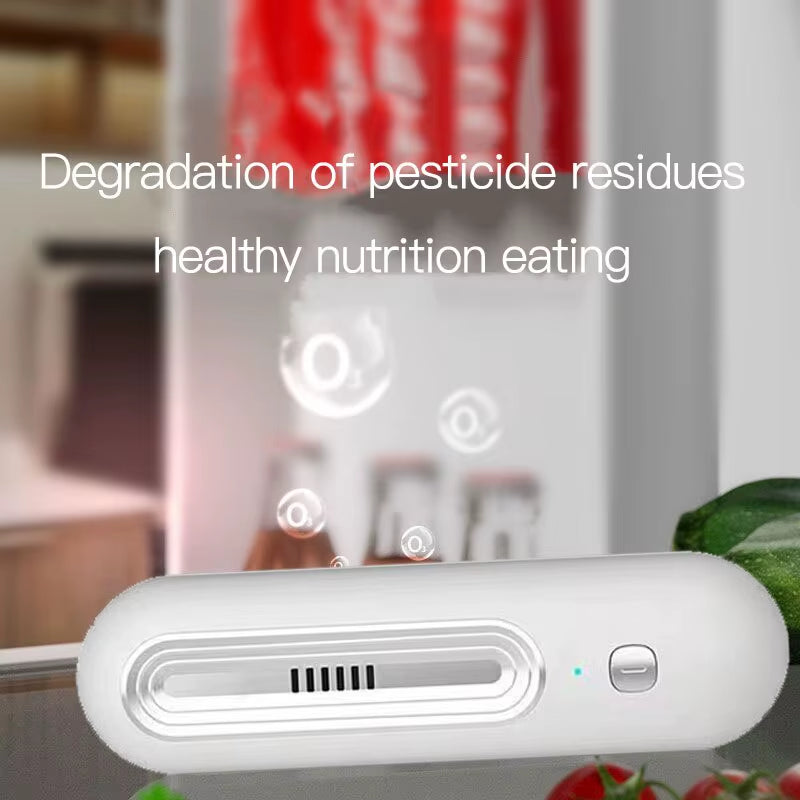 Refrigerator Deodorizer & Air Purifier Extend Food Shelf Life