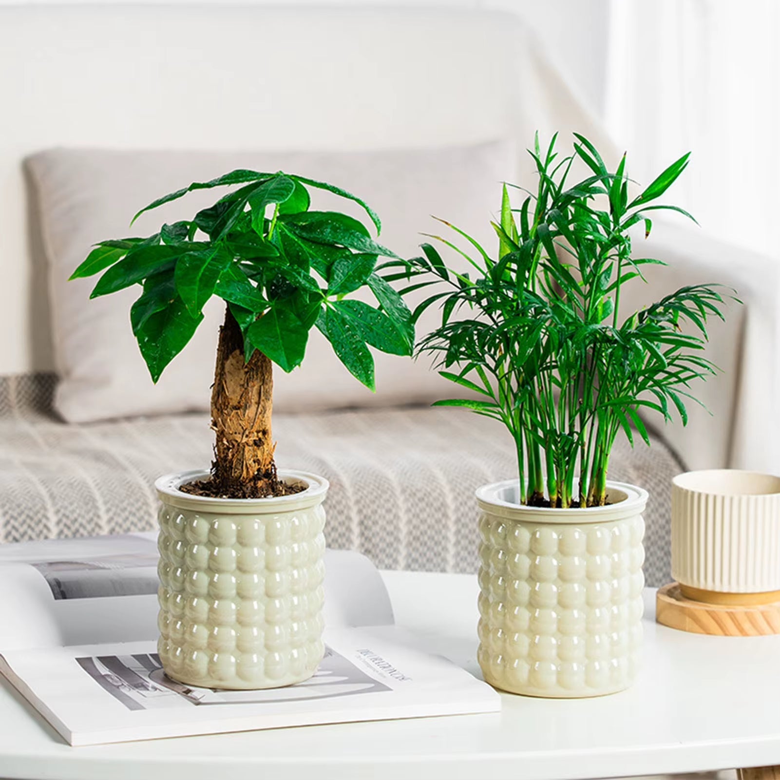 Mini Self Watering Plant Pot 